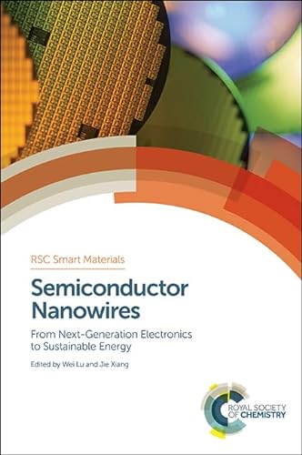 Imagen de archivo de Semiconductor Nanowires From Next-Generation Electronics to Sustainable Energy a la venta por Basi6 International