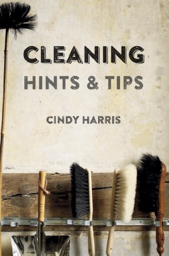 Beispielbild fr Cleaning Hints and Tips zum Verkauf von Reuseabook