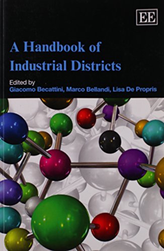 Stock image for A Handbook of Industrial Districts for sale by Blackwell's