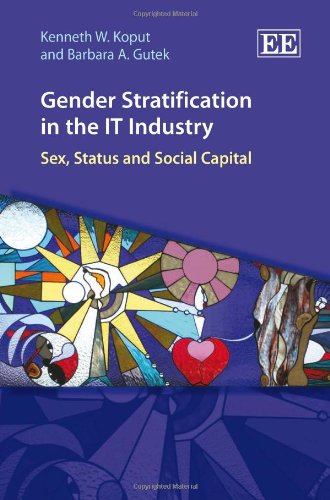 Stock image for Gender Stratification in the IT Industry: Sex, Status and Social Capital for sale by Midtown Scholar Bookstore