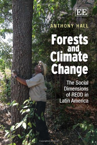 Beispielbild fr Forests and Climate Change zum Verkauf von Blackwell's