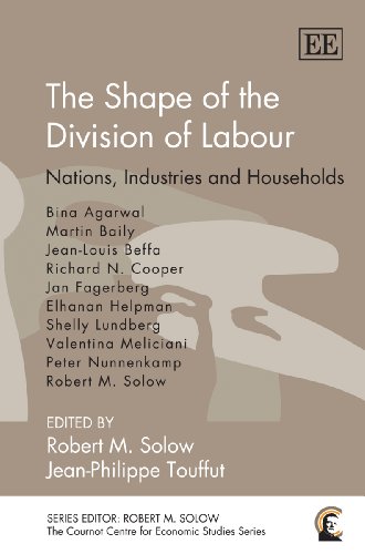 Stock image for The Shape of the Division of Labour for sale by Blackwell's