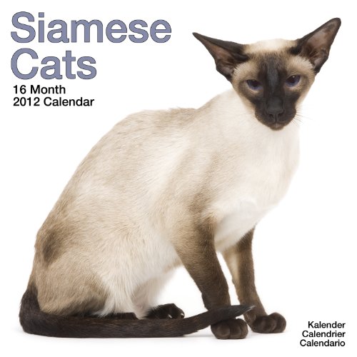 Beispielbild fr Kalender 2012 Siamkatzen - Siamesen - Siamese Cats zum Verkauf von medimops