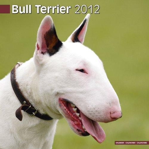 Bull Terrier 2012 Wall Calendar #10023-12 (9781849812856) by Pet Prints; Inc