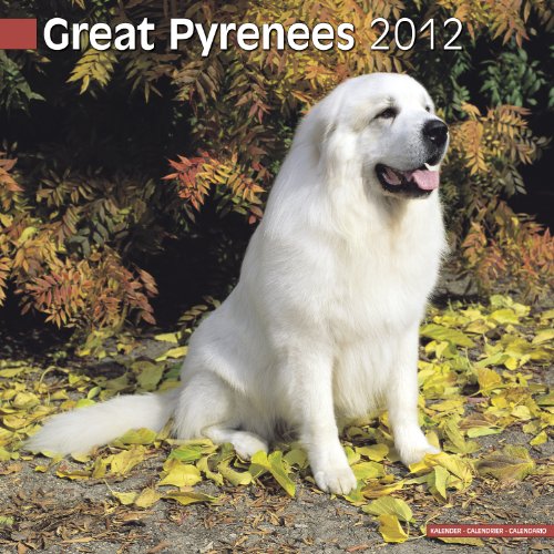 Great Pyrenees 2012 Wall Calendar #10044-12 (9781849813143) by Pet Prints; Inc
