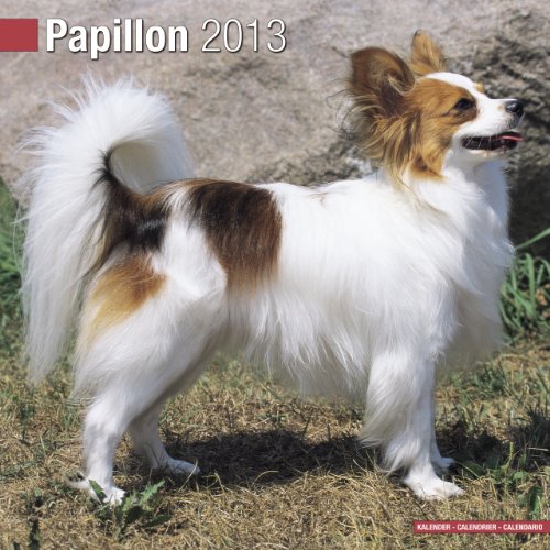 9781849816656: Papillon 2013