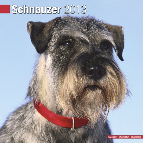 Schnauzer (Euro) 2013 Wall Calendar #10068-13 (9781849816786) by Pet Prints; Inc.