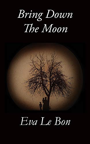 Stock image for Bring Down the Moon for sale by WorldofBooks