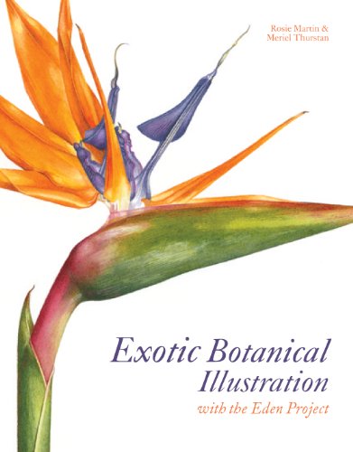 Stock image for Exotic Botanical Illustration: With the Eden Project for sale by HPB-Emerald