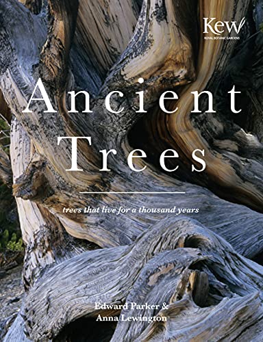 Beispielbild fr Ancient Trees: Trees that live for a thousand years (National Trust History & Heritage) zum Verkauf von Irish Booksellers