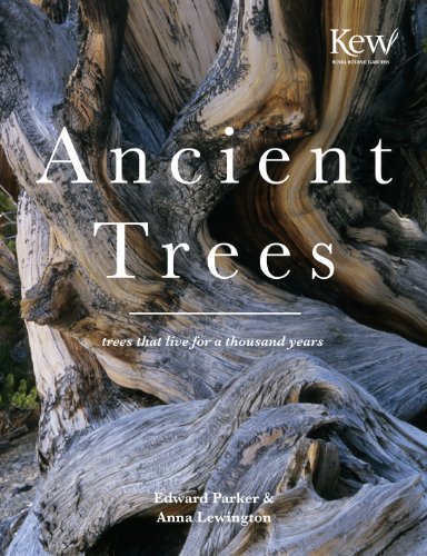 Ancient Trees: Trees that live for a thousand years (National Trust History & Heritage) (9781849940580) by Lewington, Anna