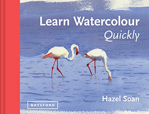 Imagen de archivo de Learn Watercolour Quickly: Techniques And Painting Secrets For The Absolute Beginner (Learn Quickly) a la venta por Goodwill