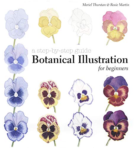 Stock image for Botanical Illustration for Beginners: A Step-by-Step Guide for sale by WorldofBooks