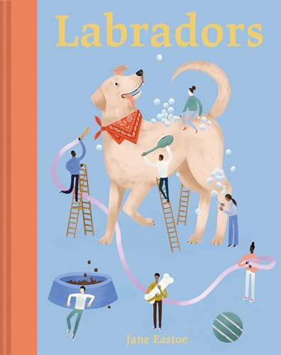 9781849947930: Labradors: What labradors want: in their own words, woofs and wags (Illustrated Dog Care)