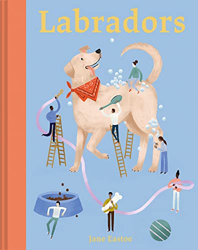 Imagen de archivo de Labradors a la venta por ThriftBooks-Atlanta