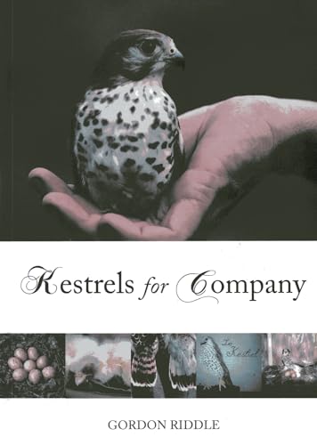 Beispielbild fr Kestrels for Company zum Verkauf von WorldofBooks