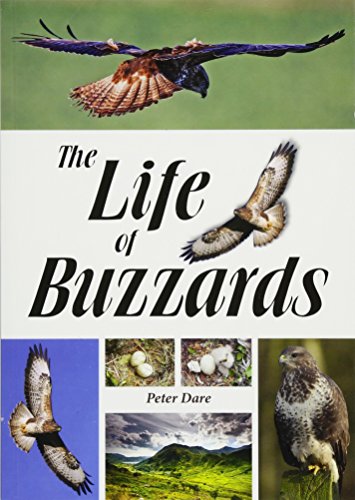 Stock image for The Life of Buzzards for sale by WorldofBooks