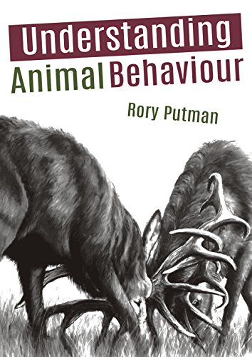 Stock image for Understanding Animal Behaviour for sale by Better World Books