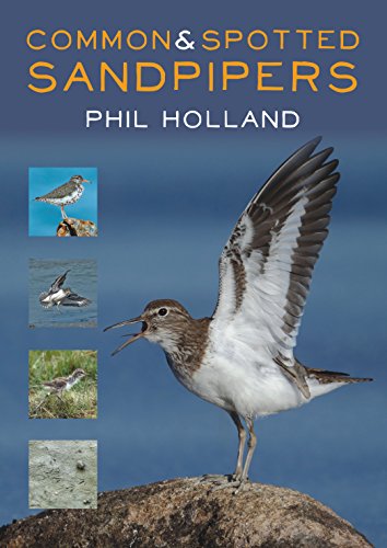 Stock image for Common & Spotted Sandpipers for sale by Housing Works Online Bookstore