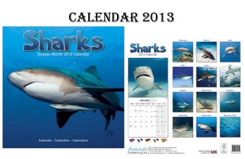 Beispielbild fr SHARKS CALENDAR 2013 + FREE SHARKS FRIDGE MAGNET zum Verkauf von WorldofBooks