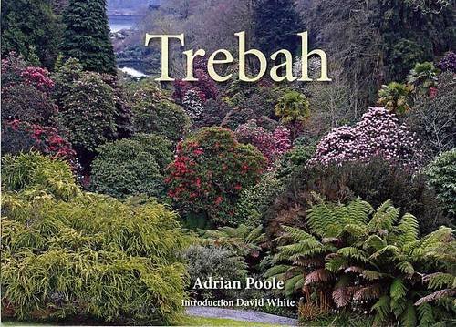 Stock image for Trebah for sale by WorldofBooks