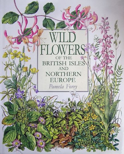 Stock image for WILD FLOWERS OF THE BRITISH ISLES AND NORTHERN EUROPE. By Pamela Forey. for sale by Coch-y-Bonddu Books Ltd