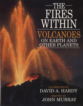 Imagen de archivo de FIRES WITHIN THE a la venta por WorldofBooks