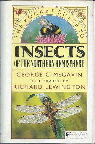 Stock image for PKT GDE INSECTS NRTH HEM (Natural history pocket guides) for sale by Goldstone Books