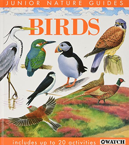 Stock image for Birds (Junior Nature Guides) for sale by WorldofBooks