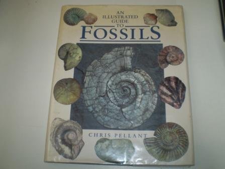 Imagen de archivo de ILL GDE TO FOSSILS a la venta por WorldofBooks