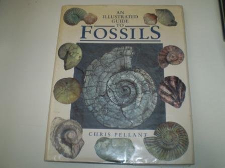 Stock image for ILL GDE TO FOSSILS for sale by WorldofBooks