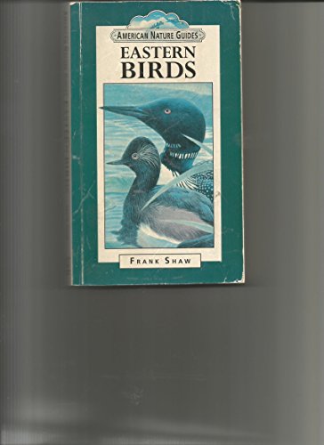 Stock image for Eastern Birds (American Nature Guides) for sale by Wonder Book