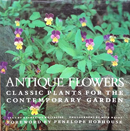 Stock image for Antique Flowers: Classic Plants for the Contemporary Garden for sale by Open Books