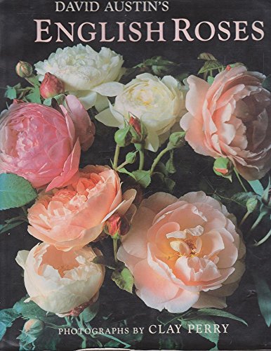 Beispielbild fr David Austin's English Roses zum Verkauf von WorldofBooks