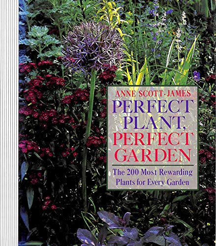 Imagen de archivo de Perfect Plant, Perfect Garden a la venta por WorldofBooks