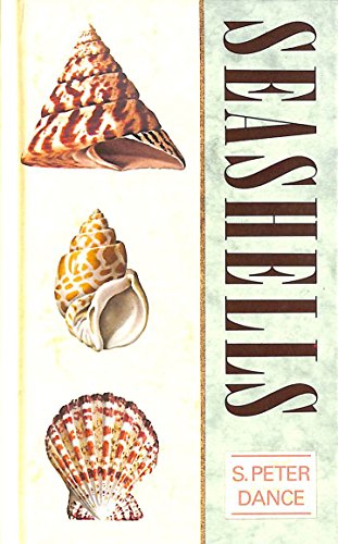 Imagen de archivo de Seashells a la venta por AwesomeBooks