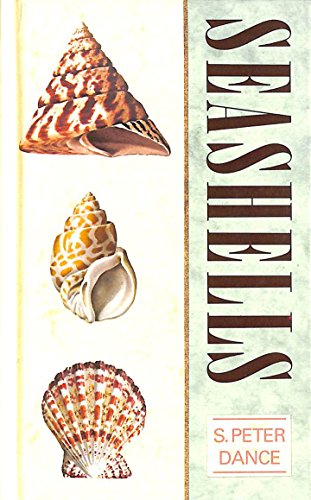 Stock image for Seashells for sale by WorldofBooks