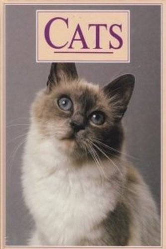 Imagen de archivo de Cats a la venta por Wonder Book