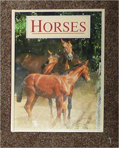 Imagen de archivo de Horses a la venta por Wonder Book
