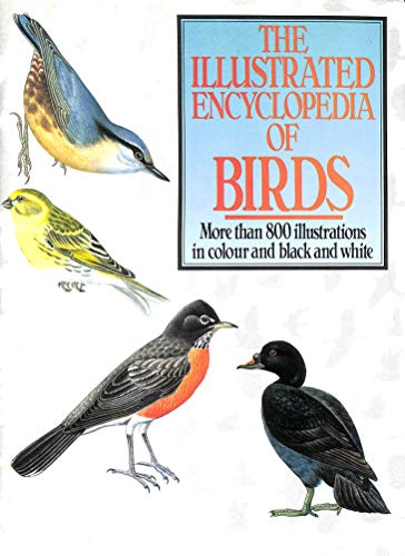 Stock image for Illustrated Encyclopedia of Birds for sale by WorldofBooks