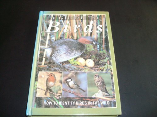 Beispielbild fr A Guide to Birds: How to Identify Birds in the Wild zum Verkauf von WorldofBooks