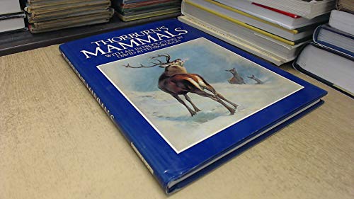 Imagen de archivo de Thorburn's mammals a la venta por AwesomeBooks