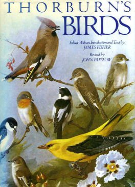 Beispielbild fr Thorburn's Birds zum Verkauf von WorldofBooks