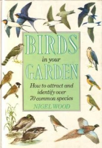 9781850521341: Birds in Your Garden: How to Attract and Identify Over 70 Common Species