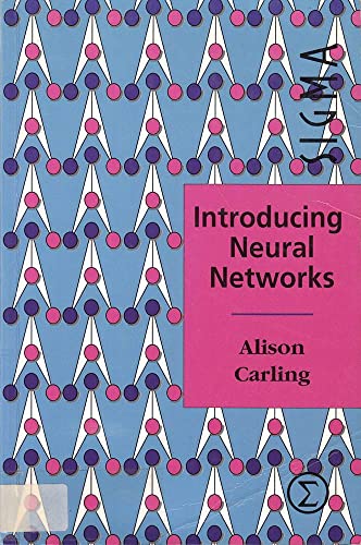 Introducing Neural Networks