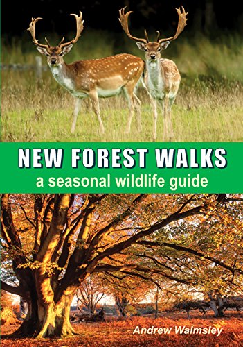 Beispielbild fr New Forest Walks a seasonal wildlife guide zum Verkauf von AwesomeBooks