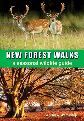 Stock image for New Forest Walks a seasonal wildlife guide for sale by AwesomeBooks