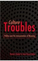 Imagen de archivo de Culture Troubles: Politics and the Interpretation of Meaning a la venta por Anybook.com