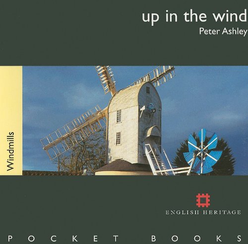 9781850749103: Up in the Wind: Windmills