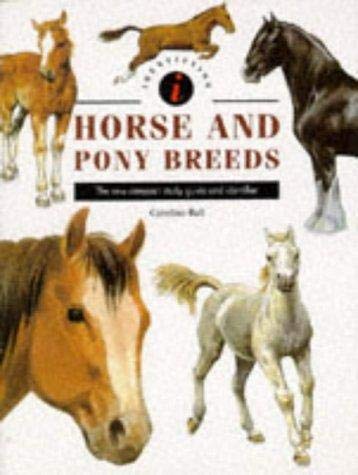 Beispielbild fr Horse and Pony Breeds (Identifiers S.) zum Verkauf von WorldofBooks